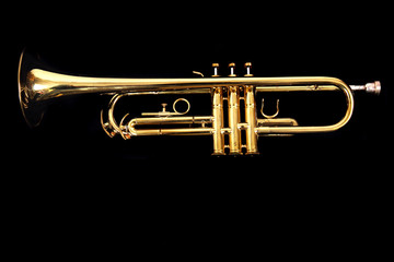 gold trumpet