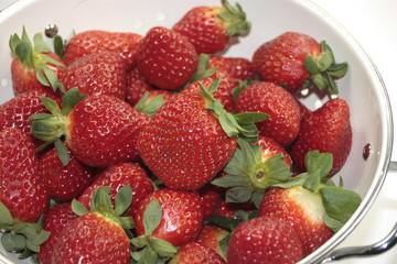 fraises