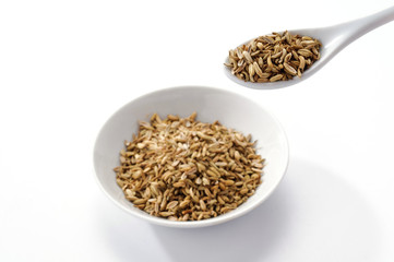 Semi di finocchio - Fennel seeds