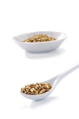 Semi di finocchio - Fennel seeds