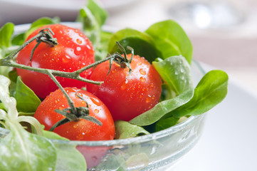 close-up of salad and tomato