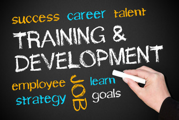 Training and Development - Business Concept