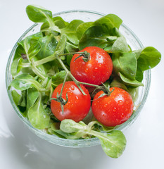 fresh green salad and tomatoes