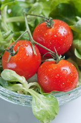 fresh green salad and tomatoes