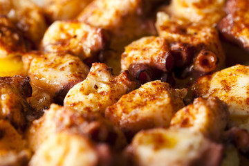 Pulpo a feira