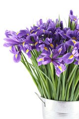 Bouquet of irises © Sunny_baby