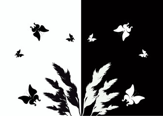 black and white butterflies above grass