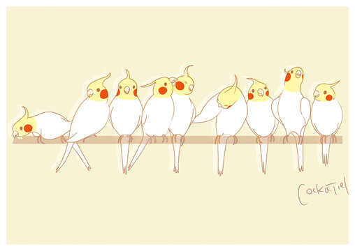 オカメインコ Images – Browse 705 Stock Photos, Vectors, and Video