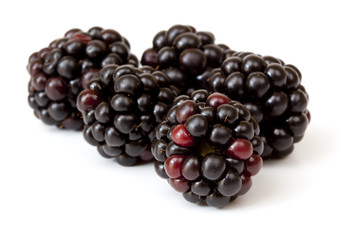 Blackberries Over White