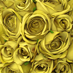 yellow rose pattern