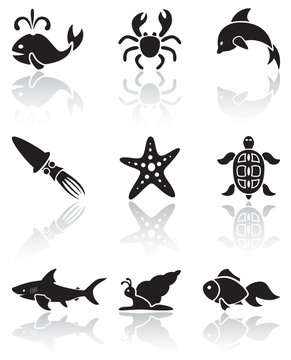 Sea animals icons
