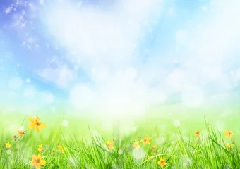 Foto op Plexiglas Lente Beautiful spring meadow