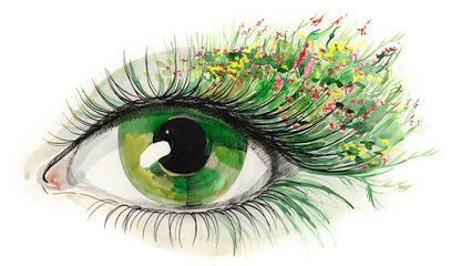 Poster Im Rahmen green human eye (series C) © ankdesign