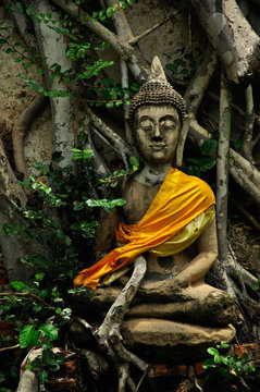 old concrete buddhist sculpture under the big tree