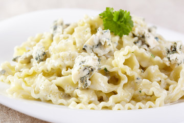 European cuisine. Pasta in cream sauce with blue cheese