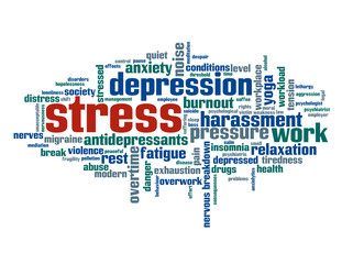 "STRESS" Tag Cloud (noise workplace anxiety depression insomnia)