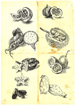 a large collection of seasonal fruits and vegetables