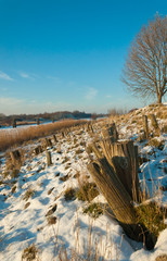 A Dutch embankment in winter