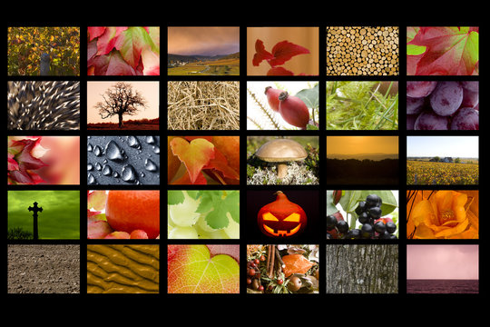 Herbstbilder