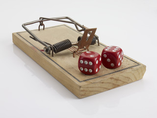Mouse trap and dice