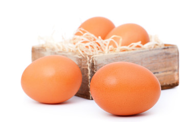 brown eggs