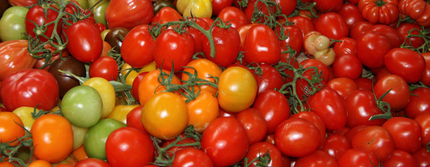 A Lovely Display of Different Coloured Tomatoes.
