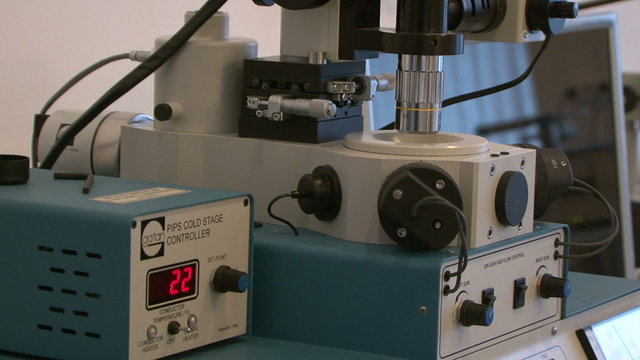 Electron microscope