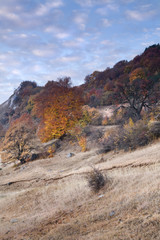 Autumn in Transylvania....