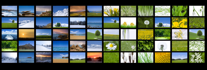 Bilder von den vier Jahreszeiten