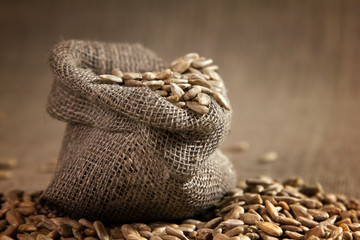 Obraz premium Small burlap sack with seeds