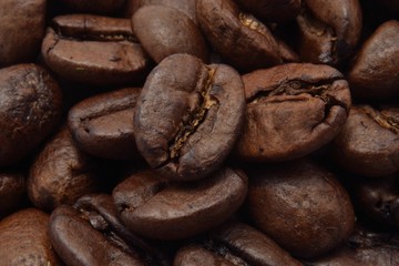 Coffee seeds