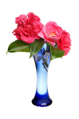 Camellias in vase