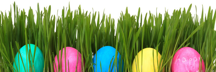 colorful easter eggs in grass