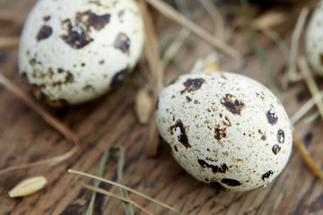 Obraz premium Quail eggs.