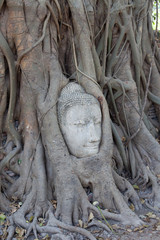 ayutthaya