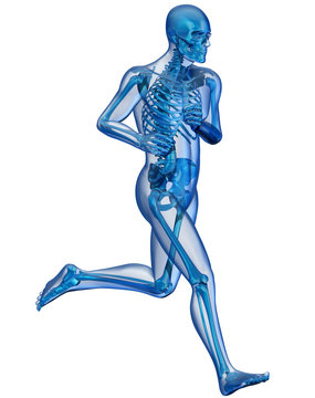Corpo umano e scheletro in corsa