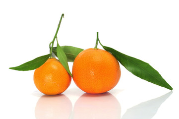 tangerines