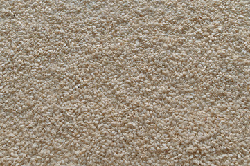 Sesame seeds background
