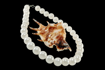 large pearls with a seashell