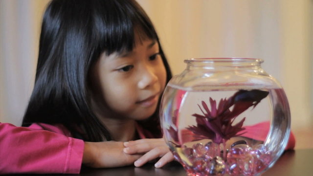 Girl Enjoying Her Red Betta Fish
