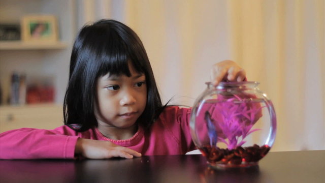 Proud Girl Feeds Her Betta Fish