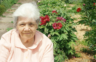 Old lady in peony