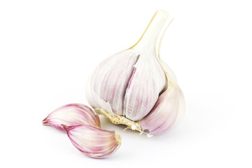 fresh garlic