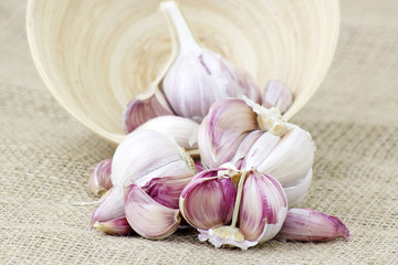 fresh garlic