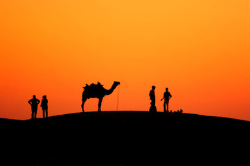 Fototapeta na wymiar Sunset in desert