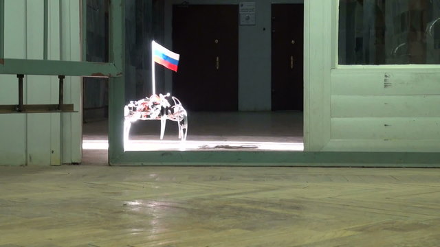 Spider robot