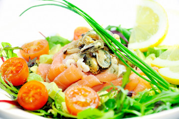 Freshness Salmon Salad