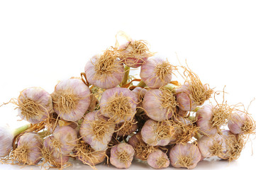 garlic bulb isolated on white background cutout