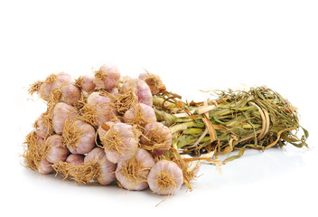 garlic bulb isolated on white background cutout