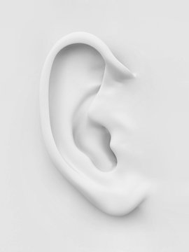 White soft human ear. 3d